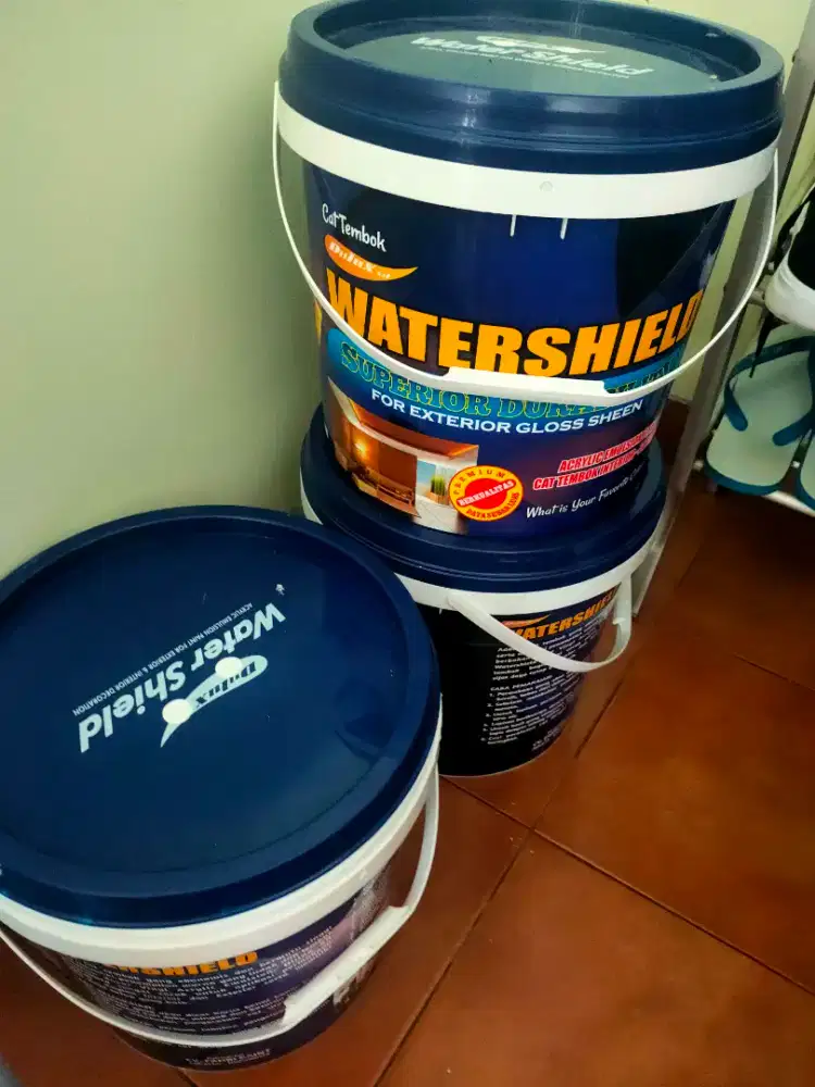 CAT DULUX WATERSHIELD