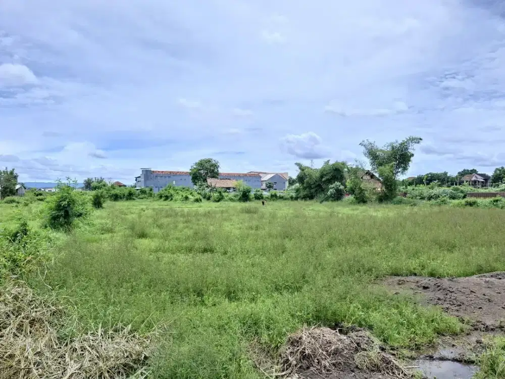 Tanah Banguntapan Strategis Ringroad Selatan, Mangku Jl Monumen Perjuangan