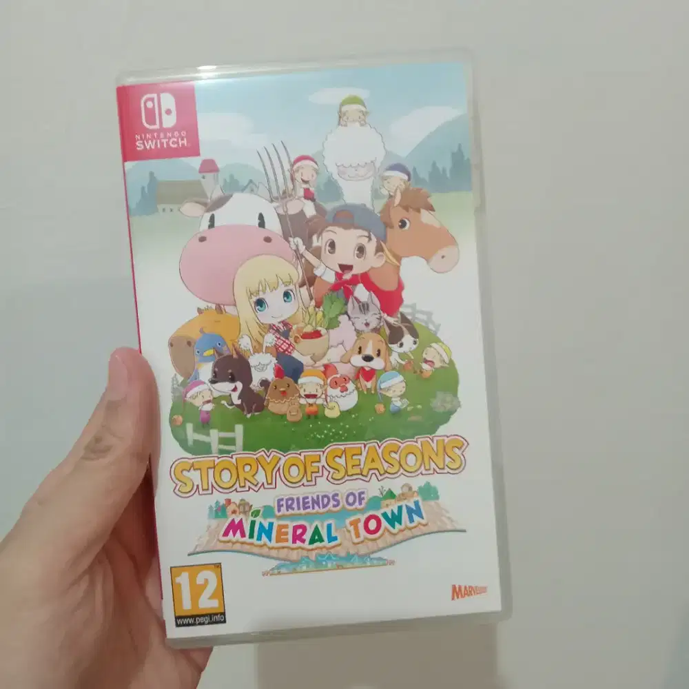 Story of season mineral town / Nintendo switch