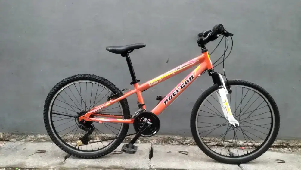 Sepeda polygon repaint