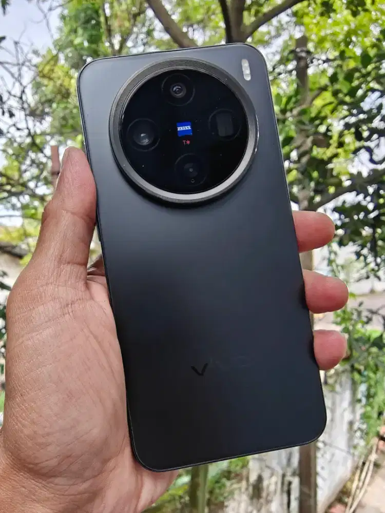 vivo X200 Pro mini 12/256