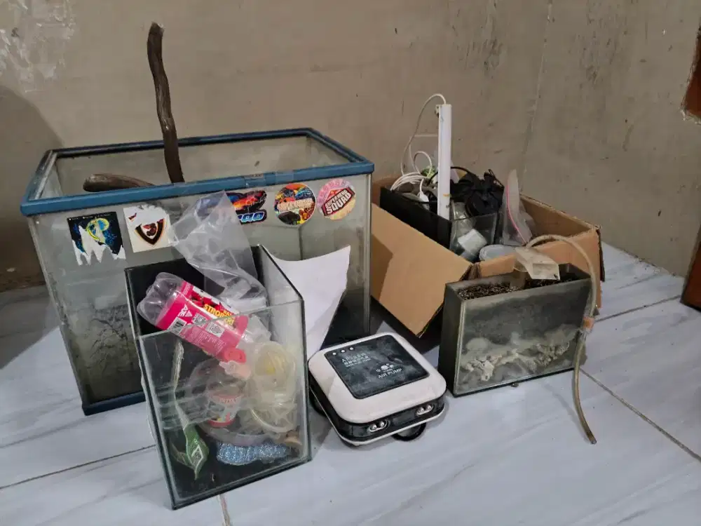 Borongan perlengkapan aquarium pasti untung