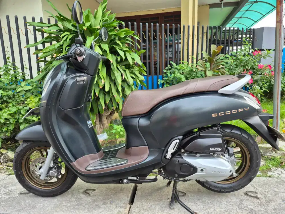 Honda Scoopy Prestige ‼️ , Th 2024