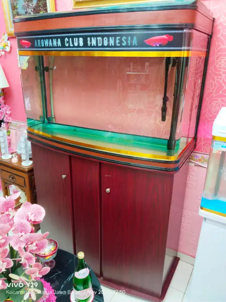 Aquarium Boyu + JBL external filter