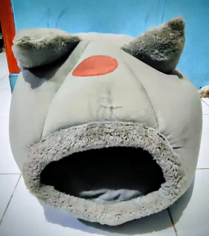 Tempat tidur kucing kecil