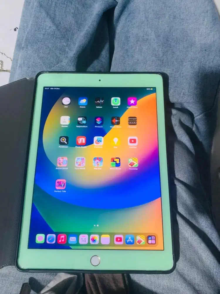Ipad PRO 9.7” (128GB) wifi&cell