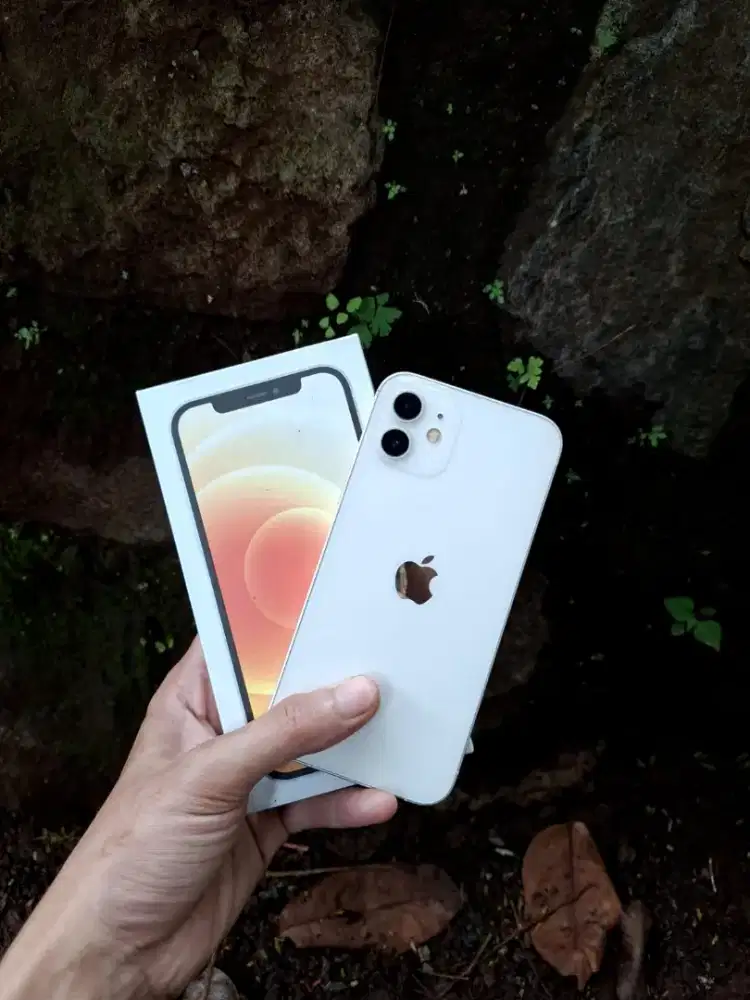 Iphone 12 128 mulus termurah