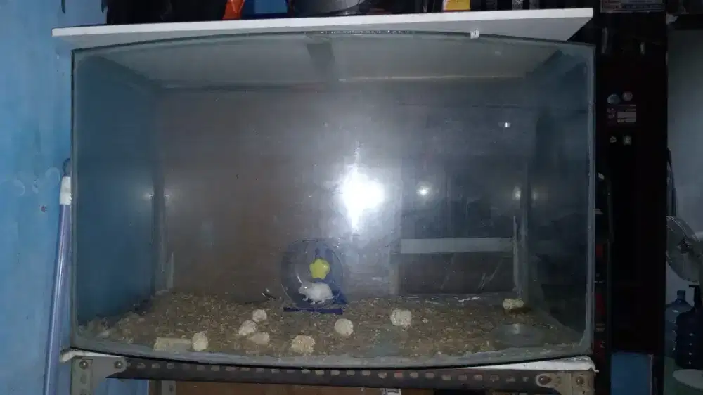 Jual Aquarium gede