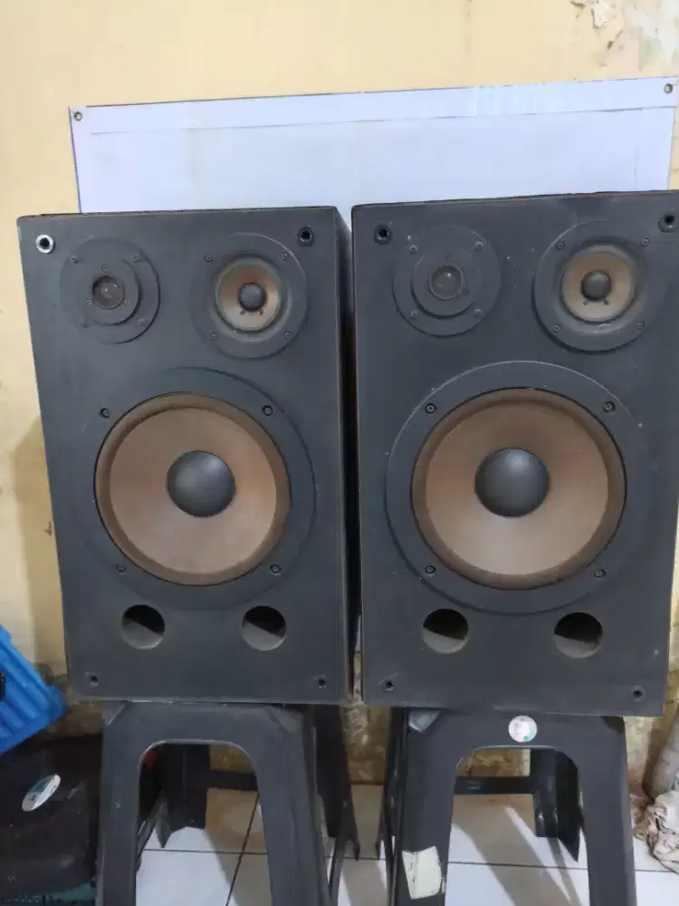Speaker 10 inchi Teac LS 500