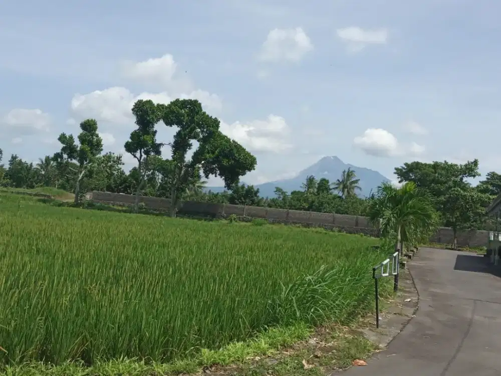 Tanah Kalasan Strategis View Merapi dan Sawah