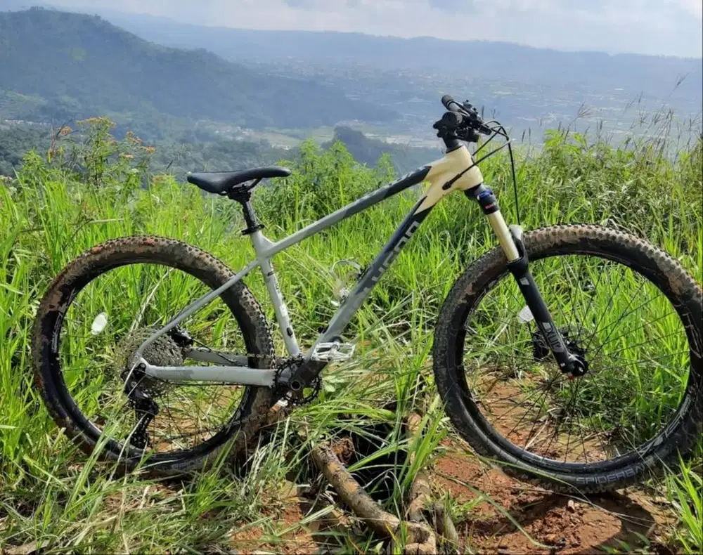 Polygon Xtrada 6 2021