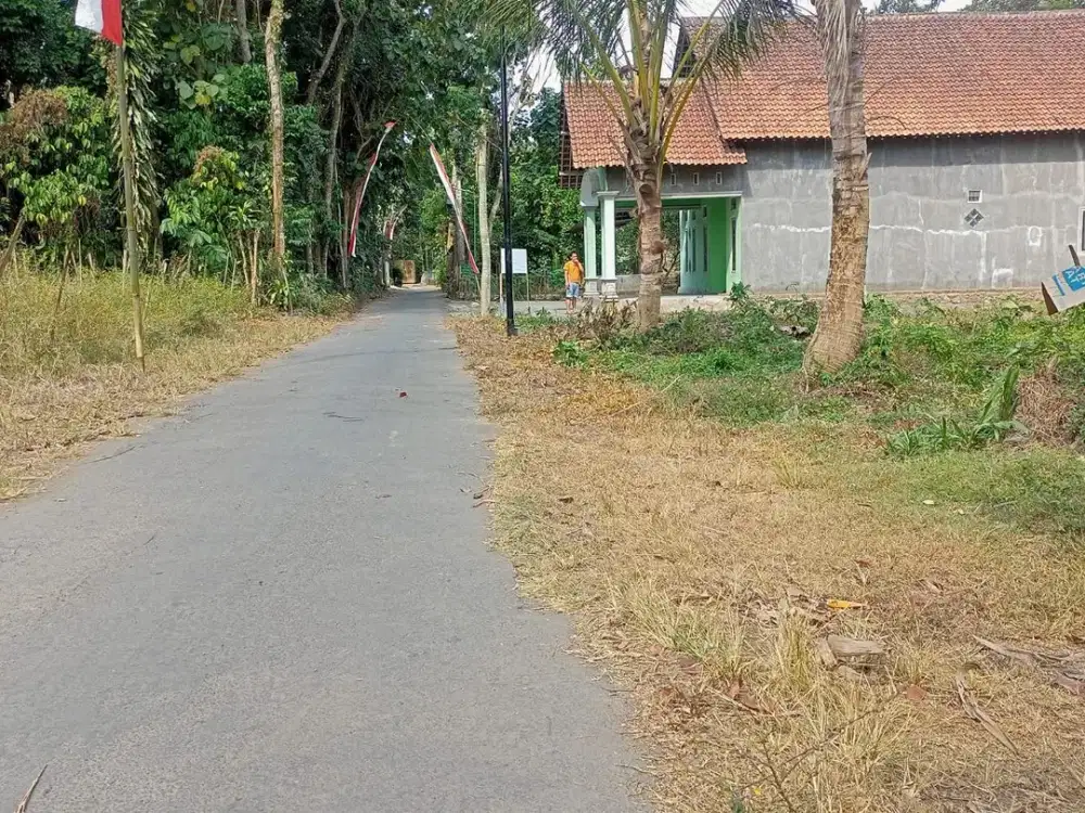 Di Jual Tanah Pekarangan di Papungan Kanigoro Blitar dekat Kota Blitar