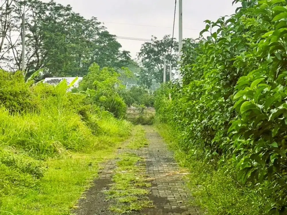 Tanah Klandungan  Dijual Cepat Malang