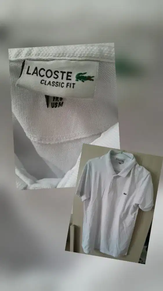 Kaos lacoste premium