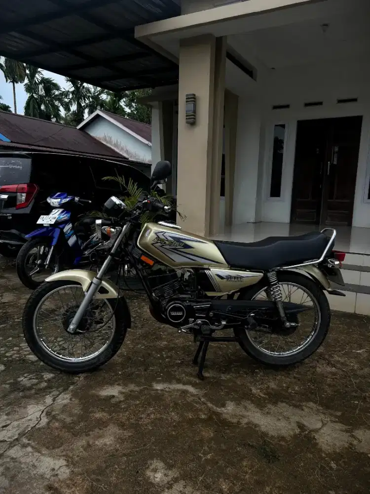 RX king limitit edition gold