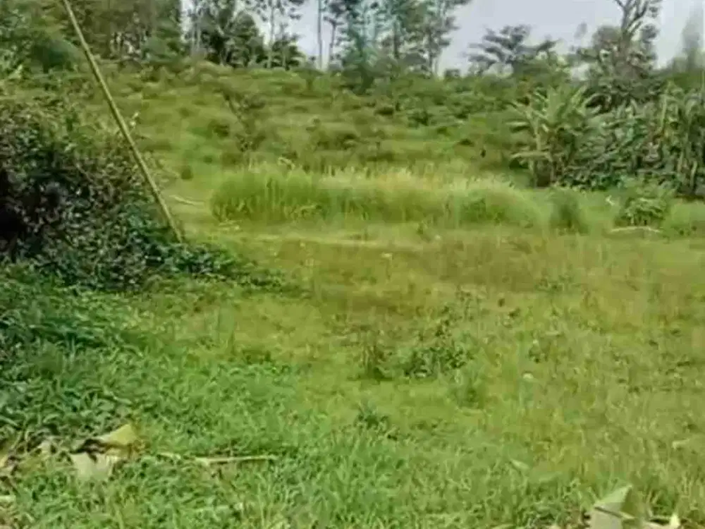 DIJUAL TANAH INDUSTRI BAWEN, LUAS 5HA