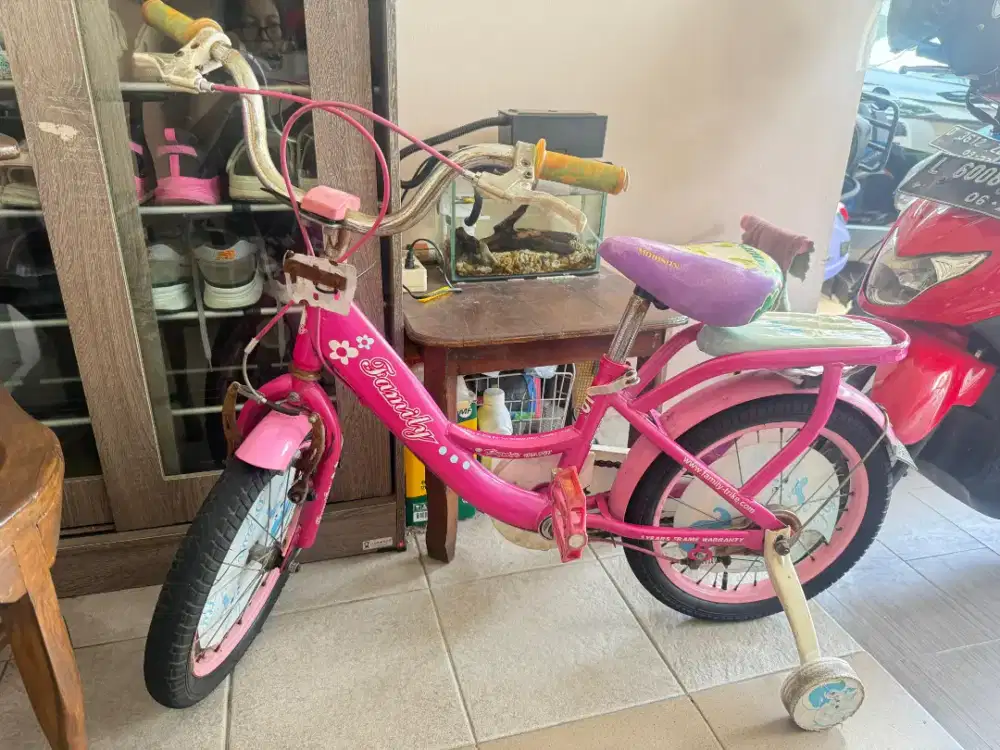 Jual sepeda anak perempuan family