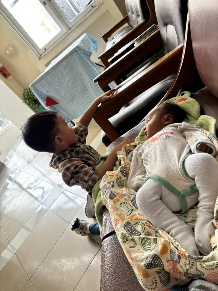 Dicari ART PP DAERAH DURI KOSAMBI - green palm