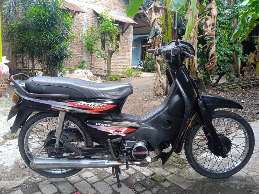 Astrea grand ab bantul ori