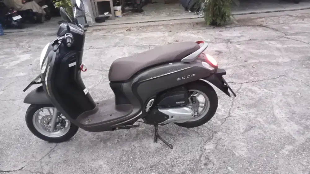 D jual scopy thn 2022 peamkian 2023 pjk hidup bm