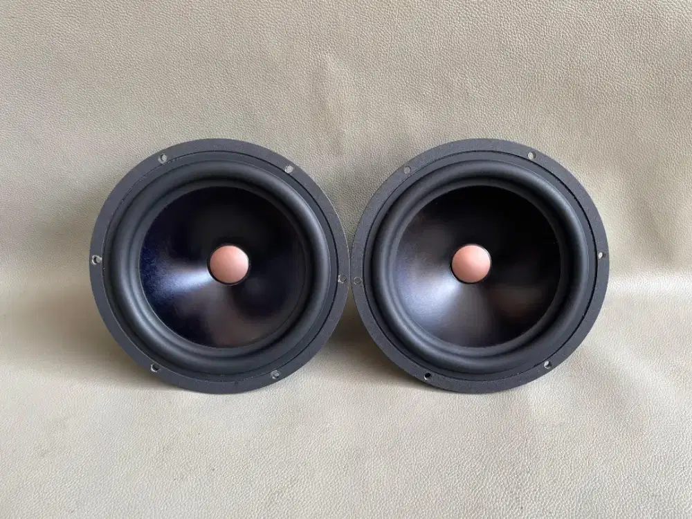 Speaker midbass Audible Physics NZ6W