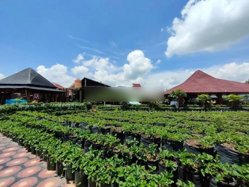 DIJUAL RUANG USAHA di PUJON KIDUL, BATU MALANG