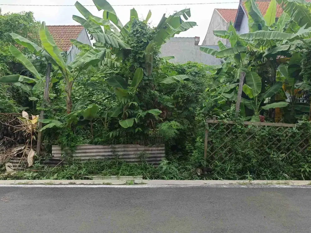 Tanah Ciamik di Jl Panda Palebon Pedurungan dekat SMP 14