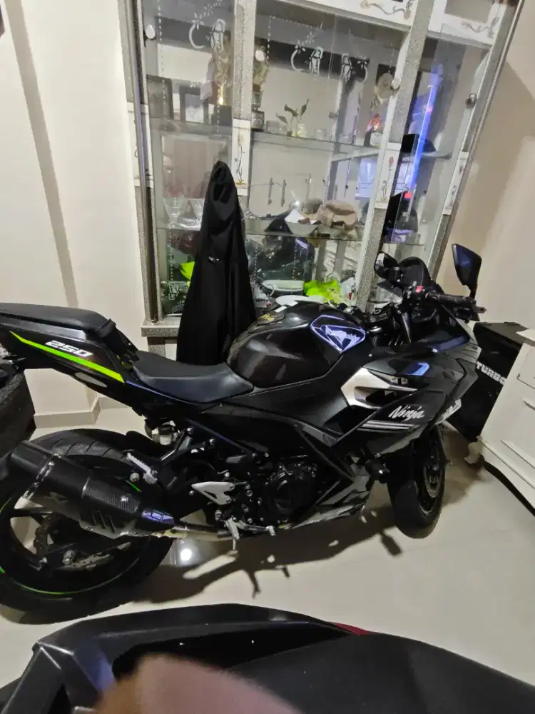 New kawasaki ninja  250 tahun 2022