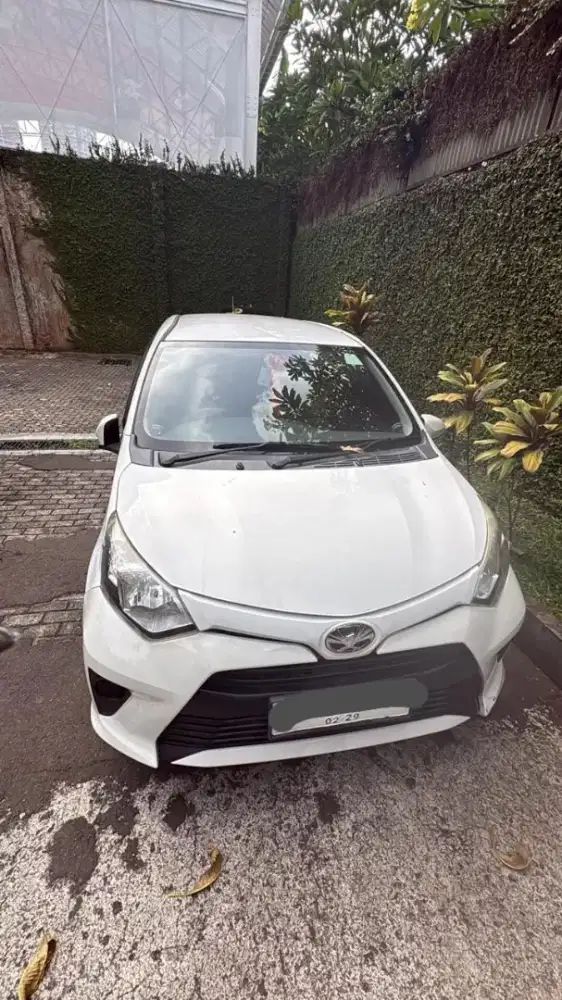 Sewa Calya 2017 2th 65jeti