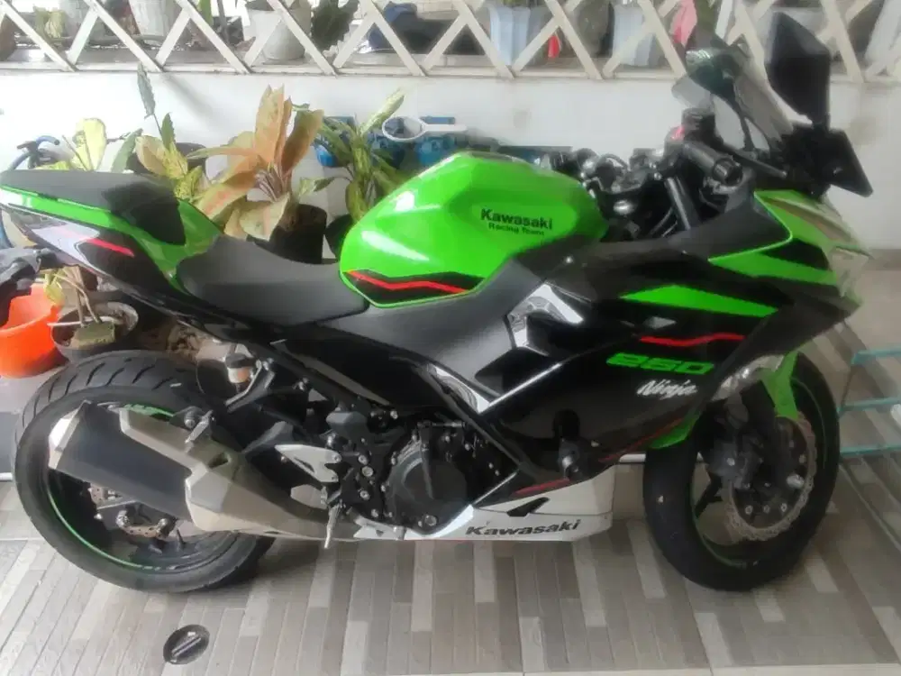 Kawasaki ninja 250