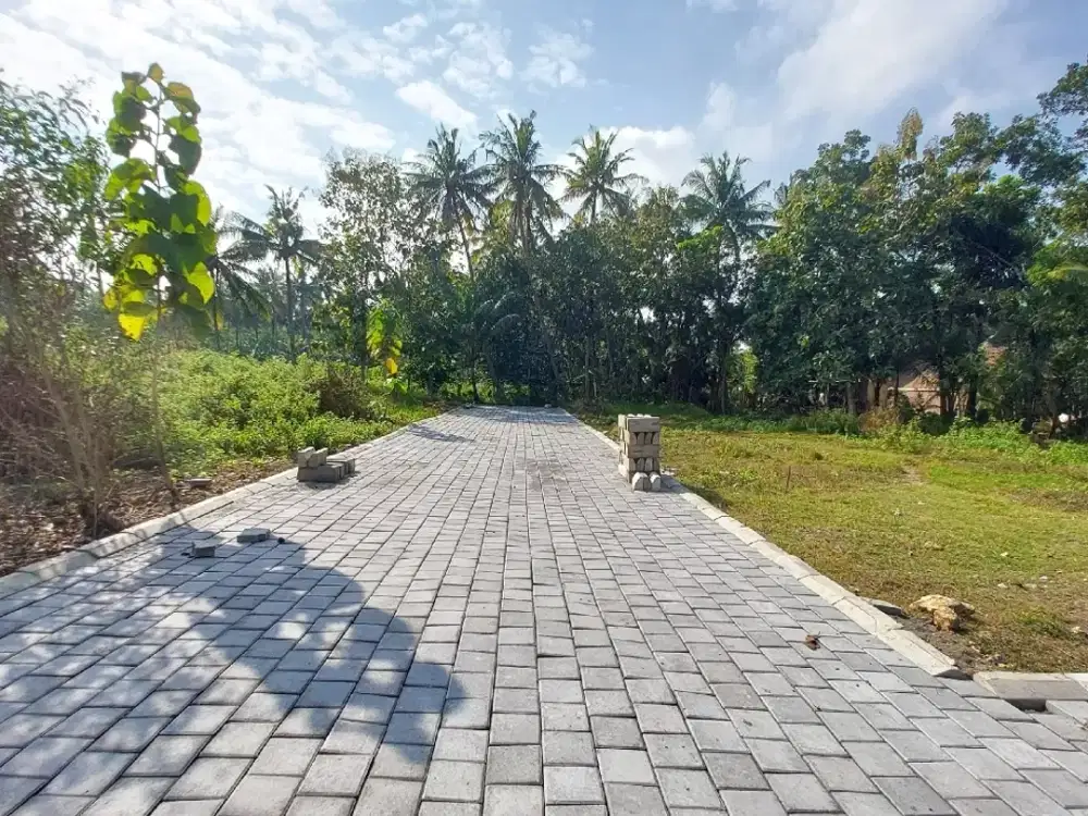 Tanah di  Kulon Progo, Dekat YIA, Harga 900 Rb-an