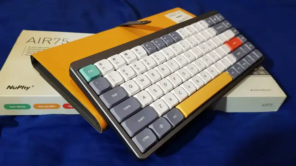 Mechanical Keyboard

Nuphy Air75

Switch Gateron Red (low profile)