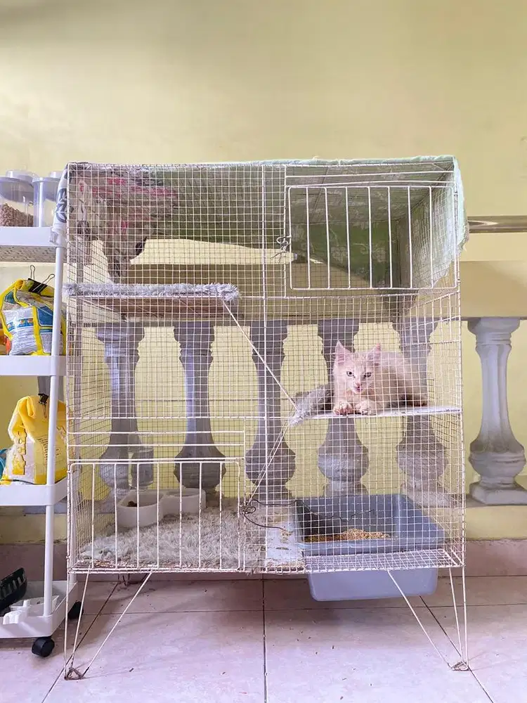 Kandang Kucing Tingkat