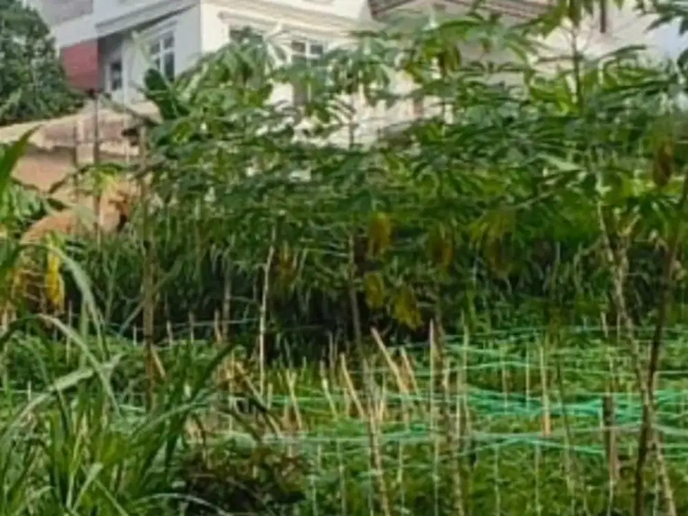 tanah murah siap bangun dekat unpad jatiroke cocok untuk rumah kost 1.7 jt permeter