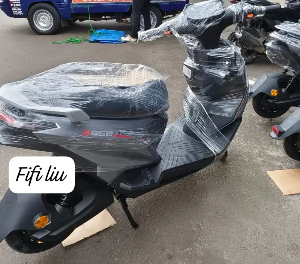 NEW SEPEDA LISTRIK D66B 600WAT