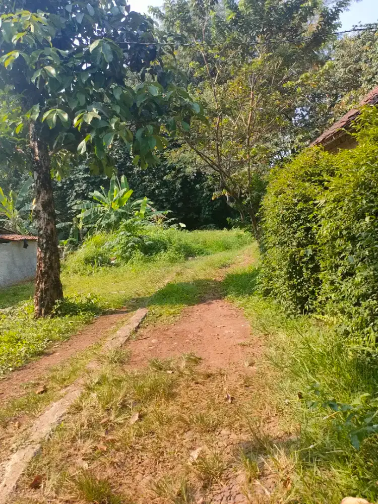 Tanah murah bisa untuk kontrakan ataw tempat tinggal