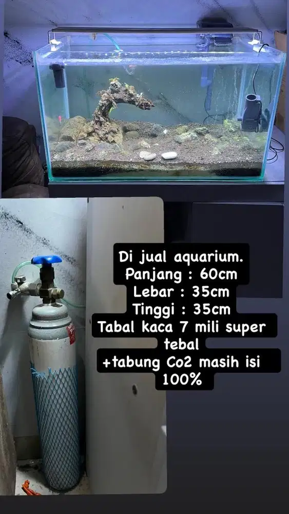 Satu paket aquarium