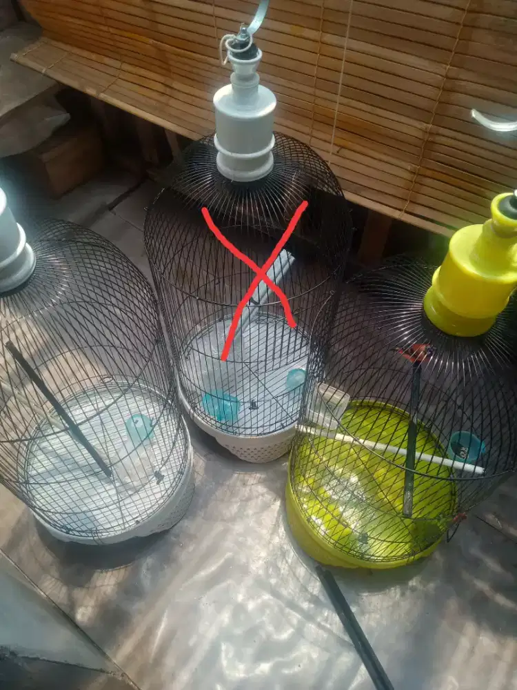 Kandang burung kenari lovebird