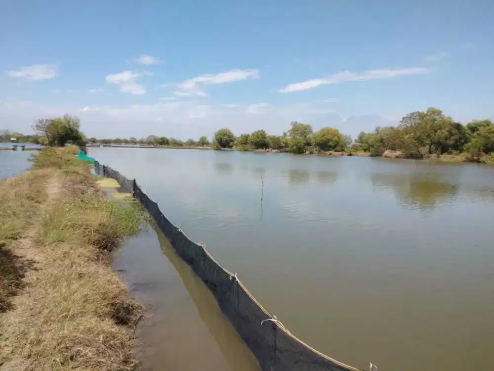 Tanah tambak dijual lokasi Jabon Bangunsari Sidoarjo