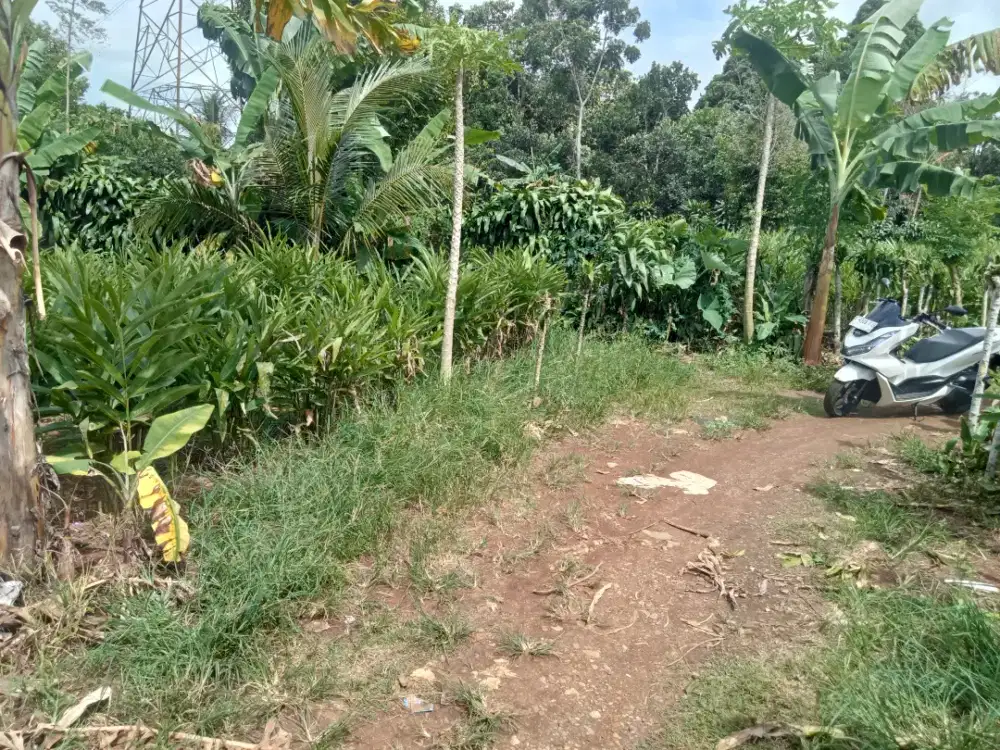 Di jual lahan tanah darat lt 200 MTR lokasi masuk mobil