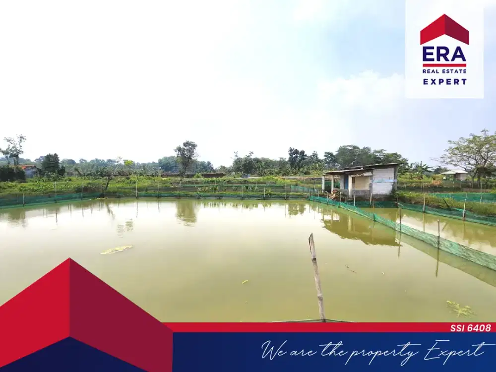 Jual Cepat Empang 4 Kolam  Ciseeng, Bogor