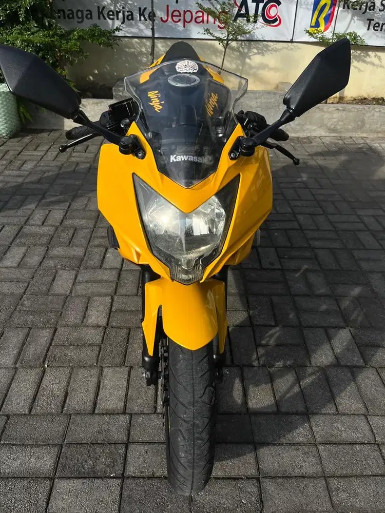Ninja mono asli kuning