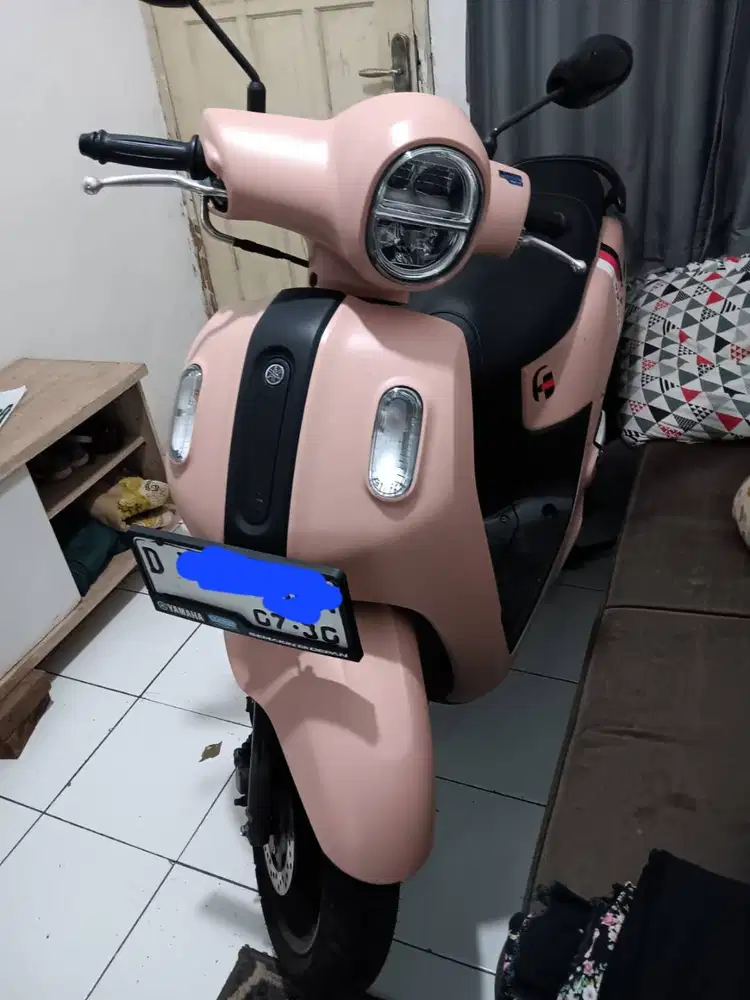 Fazzio Hybride Pink 2025