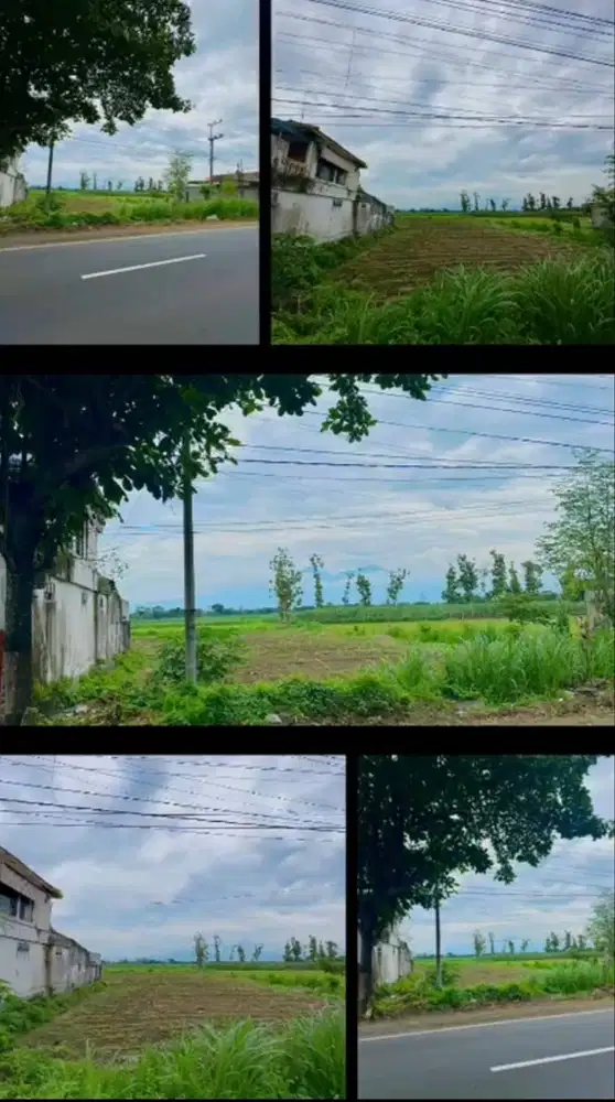 Dijual Murah Tanah Pinggir Jalan Raya Provinsi Kediri Blitar