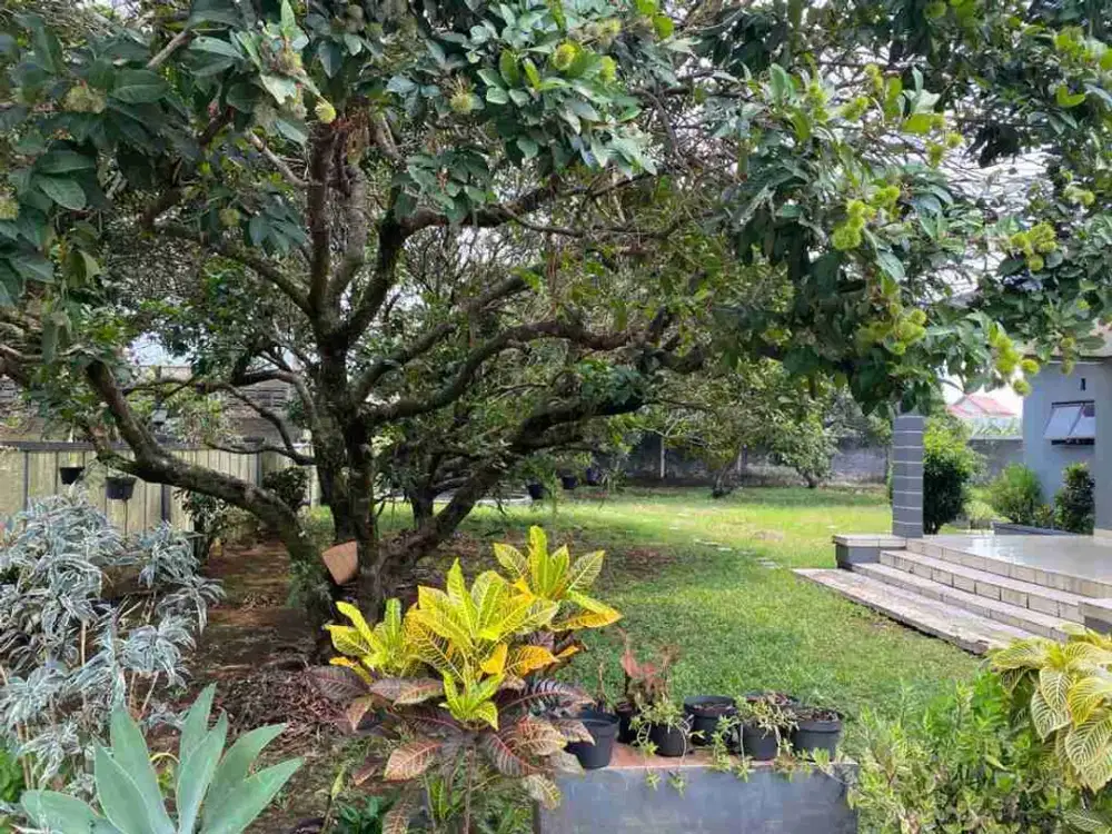 Dijual Rumah Luas di Keradenan Cibinong Kabupaten Bogor