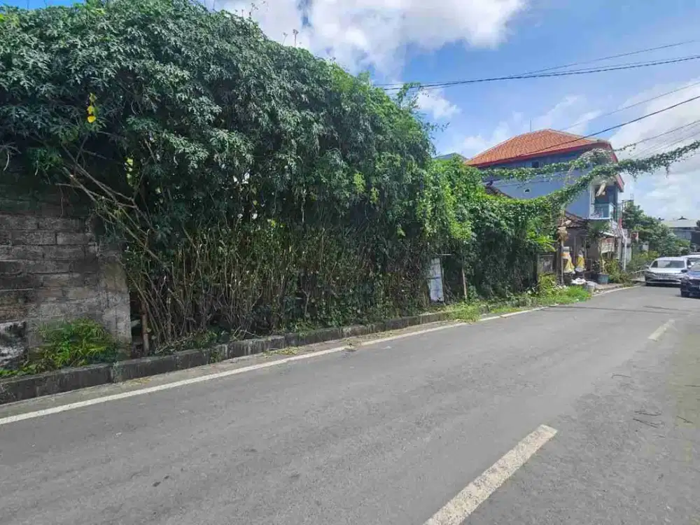 DIJUAL TANAH LOKASI JALAN PIDADA UBUNG
