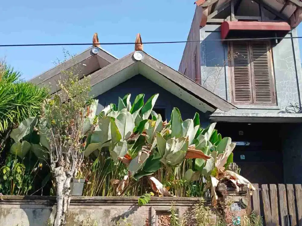 Dijual Rumah Kayu Jati Antik di Wonorejo Permai Surabaya Timur Atap Kayu Bengkirai Anti Rayap