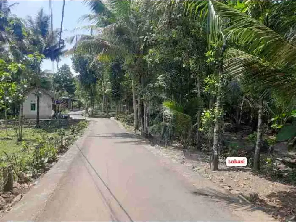 JUAL TANAH DEKAT MASJID DI CERME PANJATAN KULONPROGO