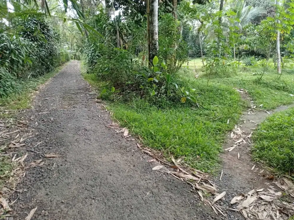 Harga tanah purbalingga, 278 RIBU permeter