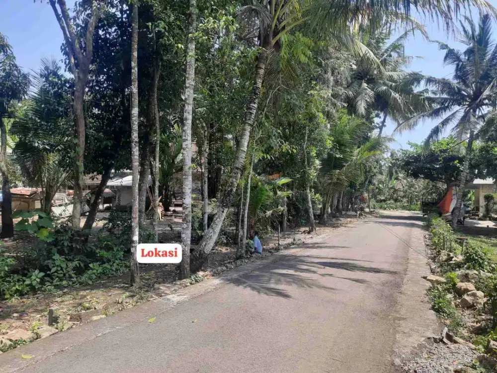 Tanah Murah dekat kantor kecamatan panjatan Kulon Progo